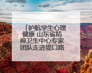 护航学生心理健康 山东省精神卫生中心专家团队走进堤口路小学