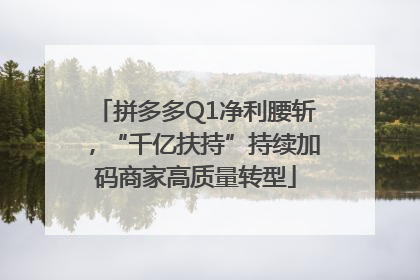 拼多多Q1净利腰斩，“千亿扶持”持续加码商家高质量转型