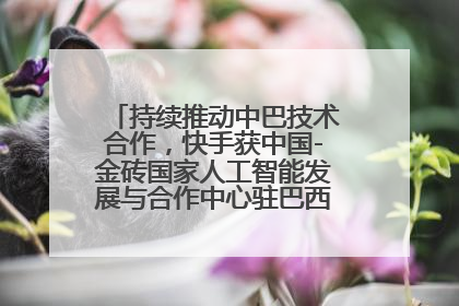 持续推动中巴技术合作，快手获中国-金砖国家人工智能发展与合作中心驻巴西成果转化中心授牌