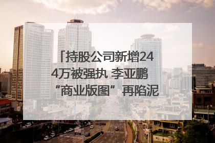 持股公司新增244万被强执 李亚鹏“商业版图”再陷泥潭？｜科技观察