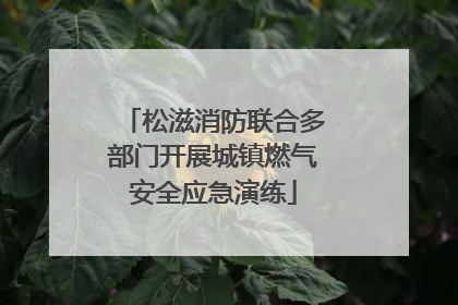 松滋消防联合多部门开展城镇燃气安全应急演练