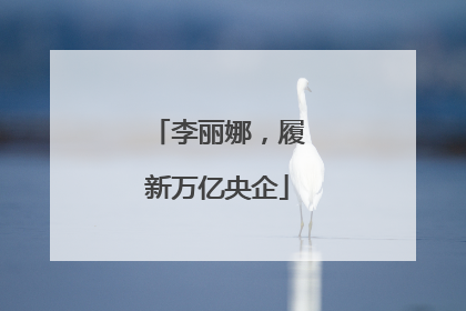 李丽娜，履新万亿央企