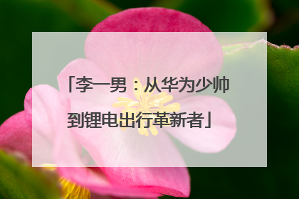 李一男：从华为少帅到锂电出行革新者