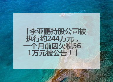 李亚鹏持股公司被执行约244万元，一个月前因欠税561万元被公告！