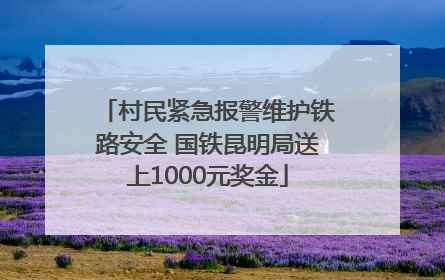 村民紧急报警维护铁路安全 国铁昆明局送上1000元奖金