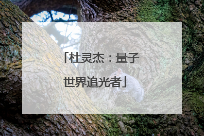 杜灵杰：量子世界追光者