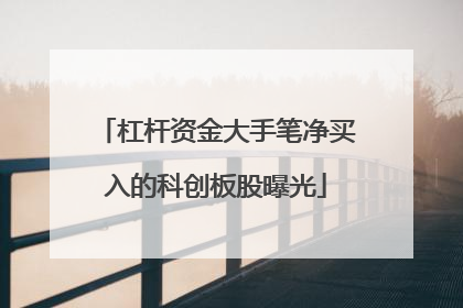 杠杆资金大手笔净买入的科创板股曝光