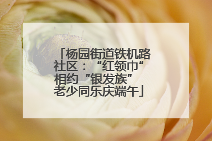 杨园街道铁机路社区：“红领巾”相约“银发族” 老少同乐庆端午