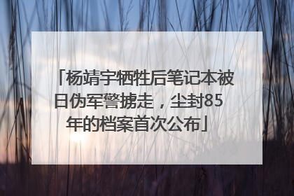 杨靖宇牺牲后笔记本被日伪军警掳走，尘封85年的档案首次公布