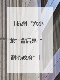 杭州“六小龙”背后是“耐心政府”