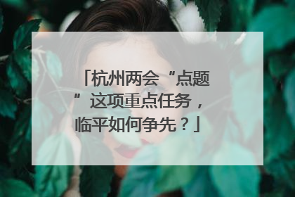杭州两会“点题”这项重点任务，临平如何争先？