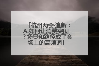 杭州两会·追新：AI如何让消费突围？场景和路径成了会场上的高频词