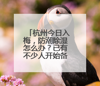 杭州今日入梅，防潮除湿怎么办？已有不少人开始备货