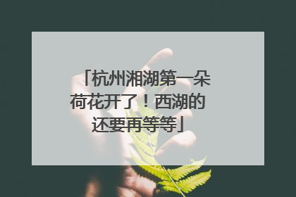 杭州湘湖第一朵荷花开了！西湖的还要再等等