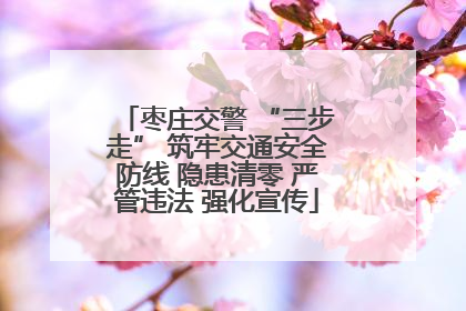 枣庄交警 “三步走” 筑牢交通安全防线 隐患清零 严管违法 强化宣传