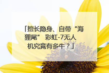 擅长隐身、自带“海狸尾” 彩虹-7无人机究竟有多牛？