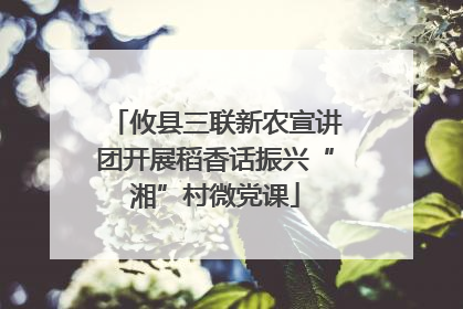 攸县三联新农宣讲团开展稻香话振兴“湘”村微党课
