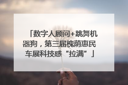 数字人顾问+跳舞机器狗，第三届槐荫惠民车展科技感“拉满”