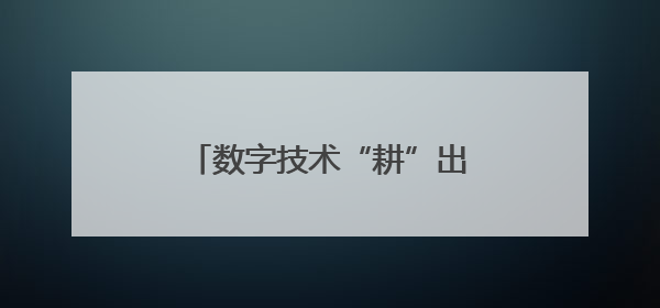 数字技术“耕”出乡村新图景：电商助力三产深度融合