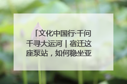 文化中国行·千问千寻大运河｜宿迁这座泵站，如何稳坐亚洲第一宝座？