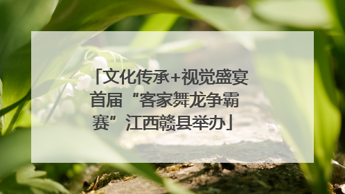 文化传承+视觉盛宴 首届“客家舞龙争霸赛”江西赣县举办