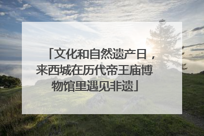 文化和自然遗产日，来西城在历代帝王庙博物馆里遇见非遗