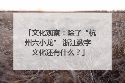 文化观察：除了“杭州六小龙” 浙江数字文化还有什么？
