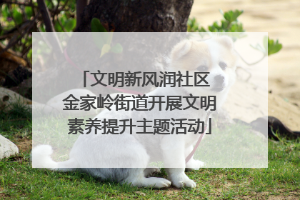 文明新风润社区 金家岭街道开展文明素养提升主题活动