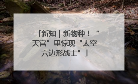 新知｜新物种！“天宫”里惊现“太空六边形战士”