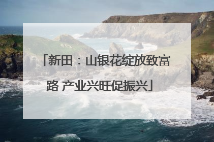 新田：山银花绽放致富路 产业兴旺促振兴