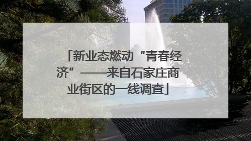 新业态燃动“青春经济”——来自石家庄商业街区的一线调查
