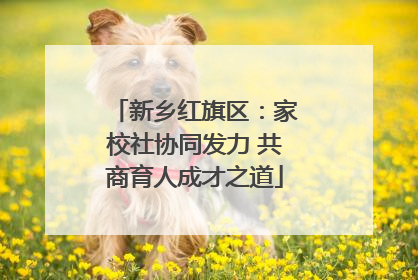 新乡红旗区：家校社协同发力 共商育人成才之道