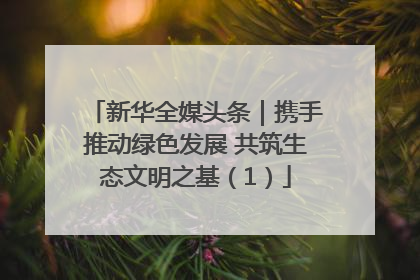 新华全媒头条｜携手推动绿色发展 共筑生态文明之基（1）