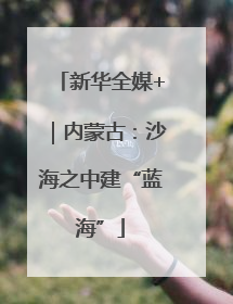 新华全媒+｜内蒙古：沙海之中建“蓝海”