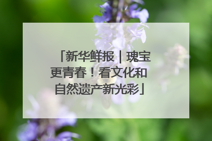 新华鲜报｜瑰宝更青春！看文化和自然遗产新光彩