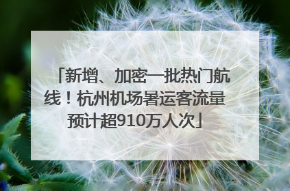 新增、加密一批热门航线！杭州机场暑运客流量预计超910万人次