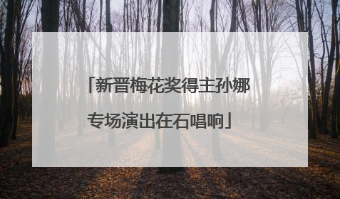 新晋梅花奖得主孙娜专场演出在石唱响
