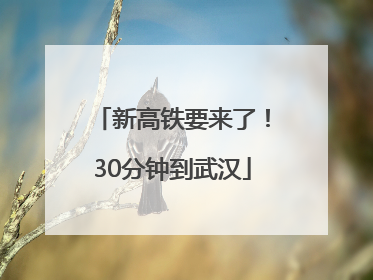 新高铁要来了！30分钟到武汉