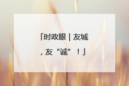 时政眼｜友城，友“诚”！