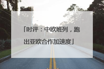 时评：中欧班列，跑出亚欧合作加速度
