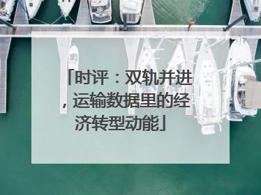 时评：双轨并进，运输数据里的经济转型动能