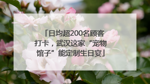 日均超200名顾客打卡，武汉这家“宠物馆子”能定制生日宴