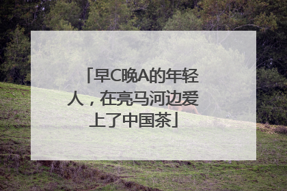 早C晚A的年轻人，在亮马河边爱上了中国茶