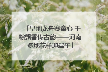 旱地龙舟赛童心 千粽飘香传古韵——河南多地花样迎端午