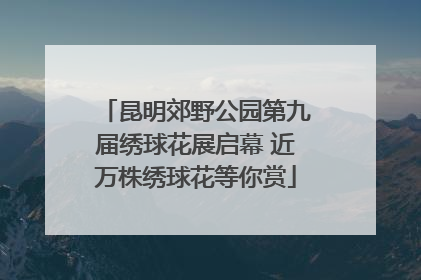 昆明郊野公园第九届绣球花展启幕 近万株绣球花等你赏