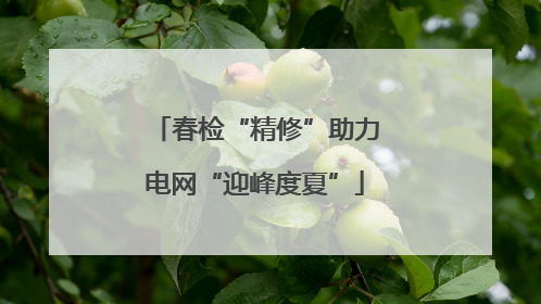春检“精修”助力电网“迎峰度夏”