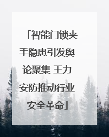 智能门锁夹手隐患引发舆论聚集 王力安防推动行业安全革命