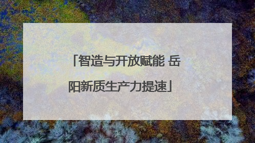 智造与开放赋能 岳阳新质生产力提速