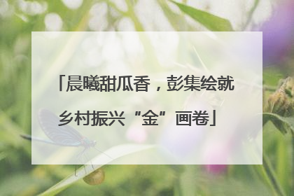 晨曦甜瓜香，彭集绘就乡村振兴“金”画卷