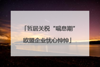 暂居关税“喘息期” 欧盟企业忧心忡忡